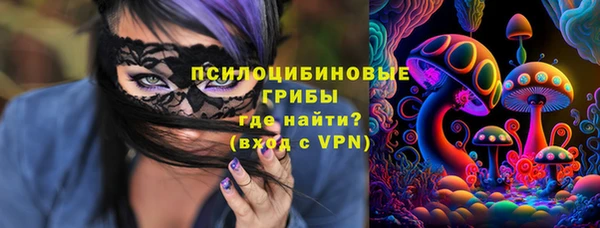гашик Алзамай