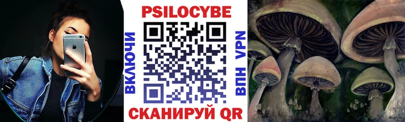 Псилоцибиновые грибы Psilocybine cubensis  Завитинск 